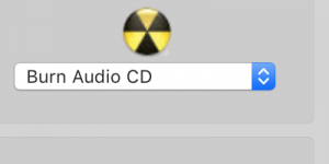 burn music dvd audio menu item